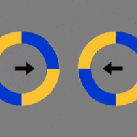 Brain is easily fooled