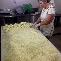 The onion master