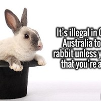 is it really?